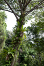 nature.singapore