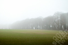 nature.england