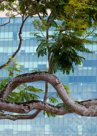 nature.singapore